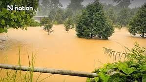 thailands-egg-supply-disruptions-due-to-floods