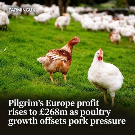 Pilgrim’s Europe Reports Higher Profit