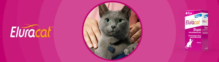 EluraCat Elanco