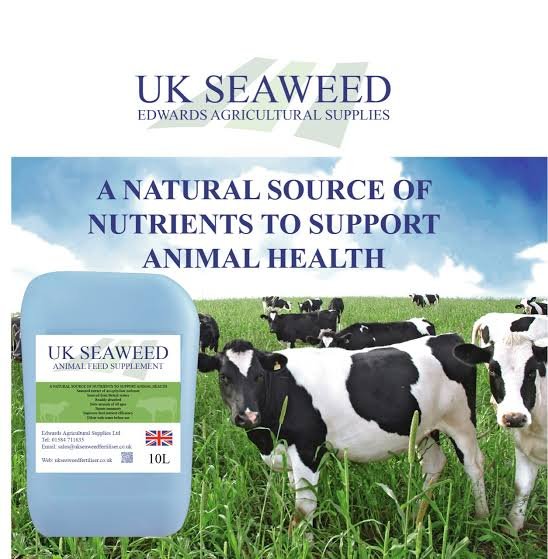 Tasco animal feed technology