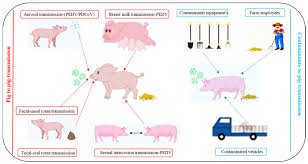 porcine deltacoronavirus China