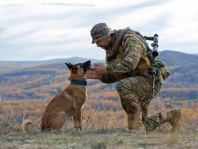 warhound-working-dog-biotechnology