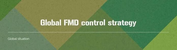 Foot and Mouth Disease 2026 strategy FAO