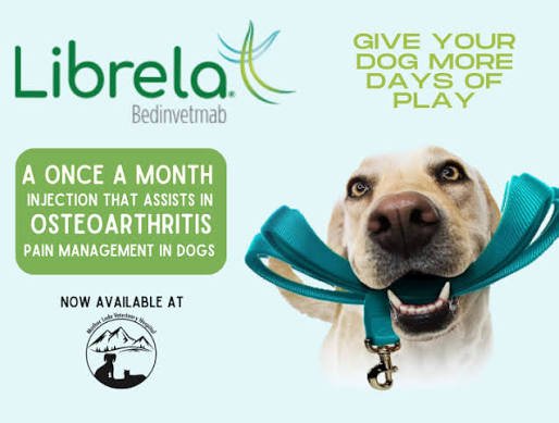 Q3 2026 animal health earnings