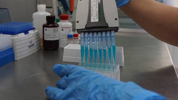 Vaksindo Expands Beyond Vaccines