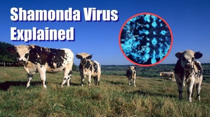 Shamonda virus Europe 2026