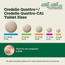 Q3 2026 animal health earnings