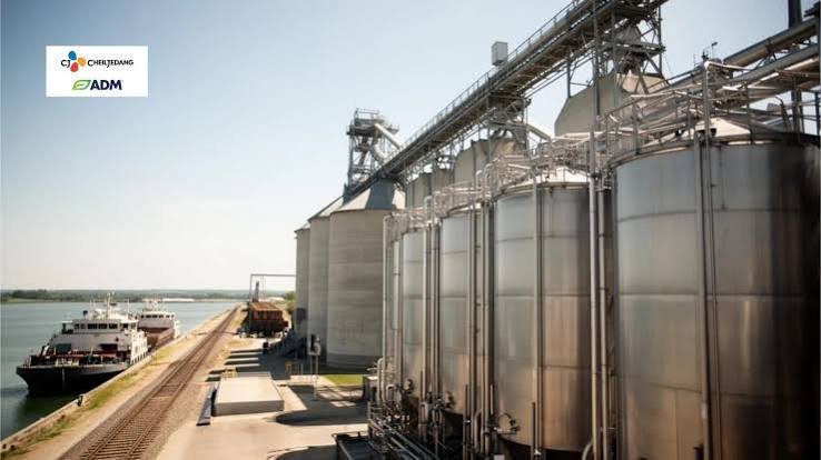 cj-cheiljedang-and-adm-form-feed-amino-acid-joint-venture