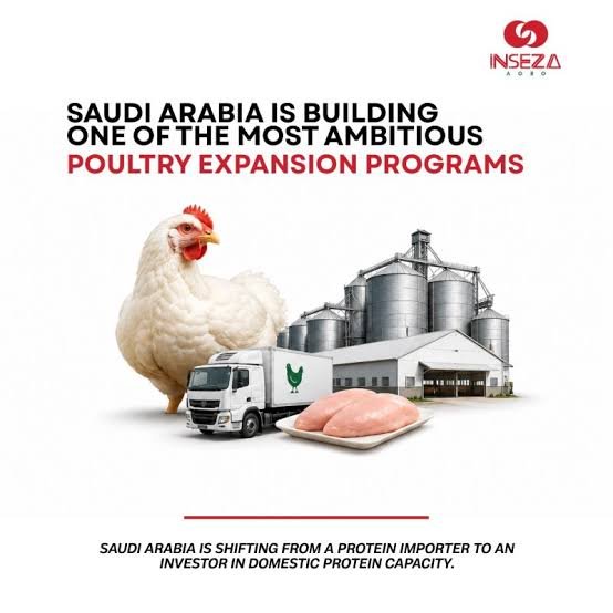 Saudi Arabia poultry industry 2026