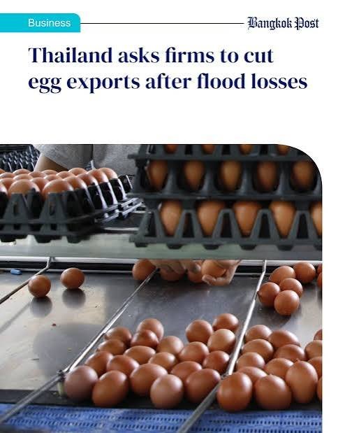 Thailand egg exports 2026