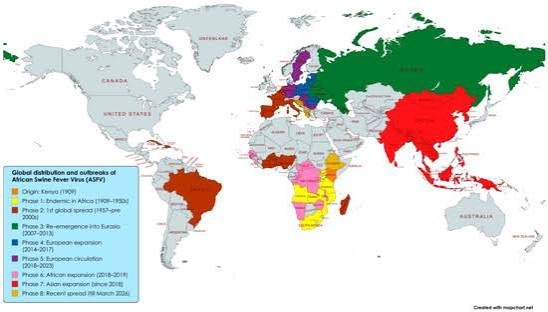 african-swine-fever-global-outbreaks-2026